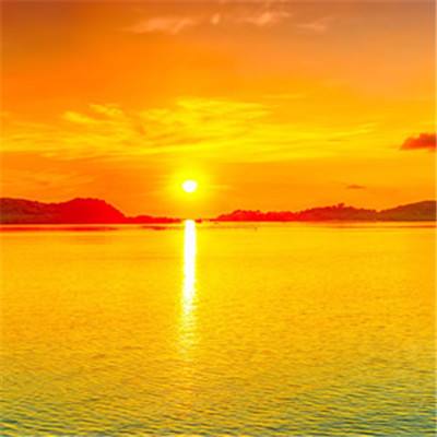 受贿数额特别巨大 北京大学原副校长任羽中被提起公诉