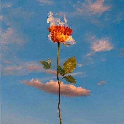 马斯克大手笔 自建全球最大芯片厂,要把80%算力送上太空