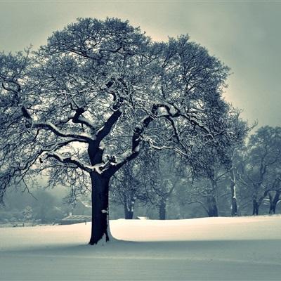 独家评论:国足自甘堕落只因俱乐部山头利益作祟