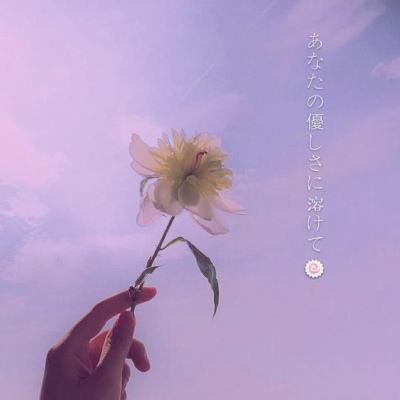 逆势高分答卷:绿茶集团2025年营收利润双增,质价比标杆如何穿越周期?