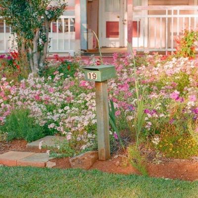 张雪峰去世后公司怎么办?峰学蔚来总经理:公司正常运营团队稳定